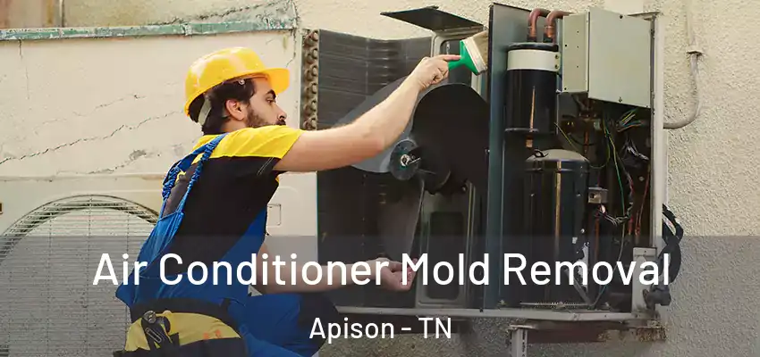  Air Conditioner Mold Removal Apison - TN