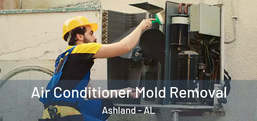  Air Conditioner Mold Removal Ashland - AL