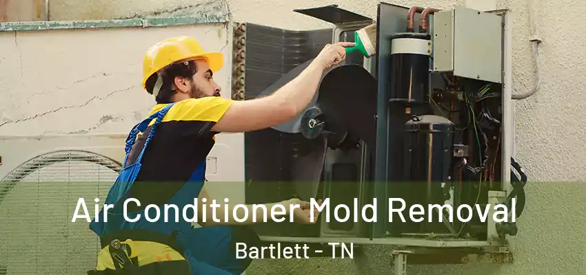 Air Conditioner Mold Removal Bartlett - TN