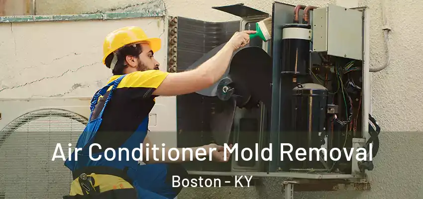 Air Conditioner Mold Removal Boston - KY