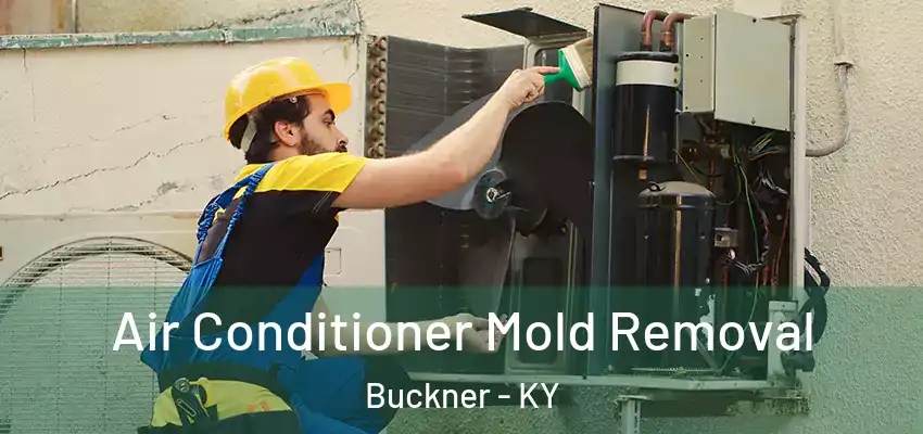 Air Conditioner Mold Removal Buckner - KY