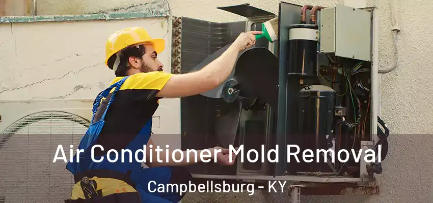  Air Conditioner Mold Removal Campbellsburg - KY
