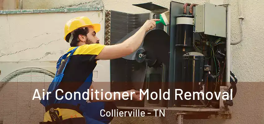 Air Conditioner Mold Removal Collierville - TN