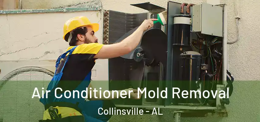  Air Conditioner Mold Removal Collinsville - AL