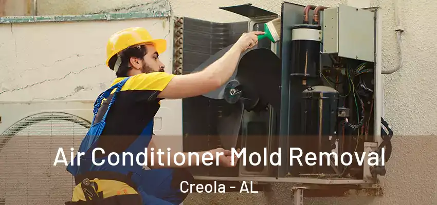  Air Conditioner Mold Removal Creola - AL