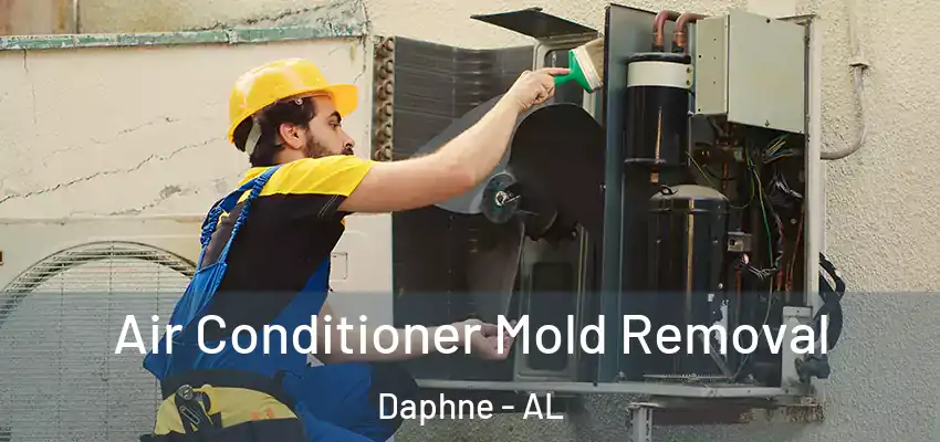 Air Conditioner Mold Removal Daphne - AL