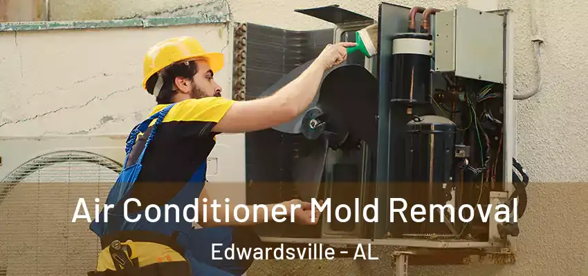 Air Conditioner Mold Removal Edwardsville - AL