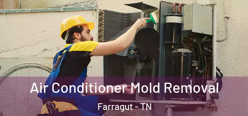 Air Conditioner Mold Removal Farragut - TN