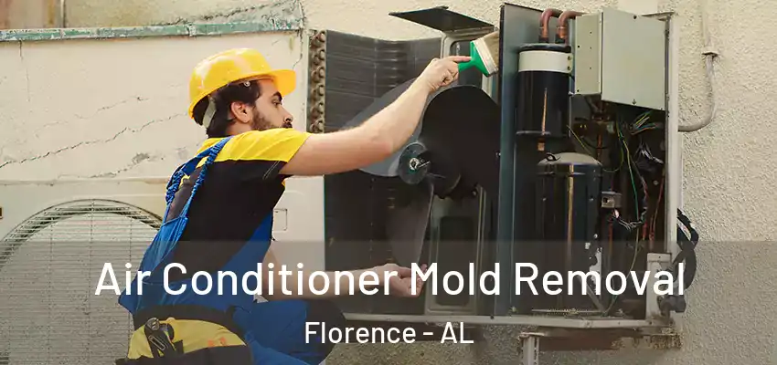  Air Conditioner Mold Removal Florence - AL