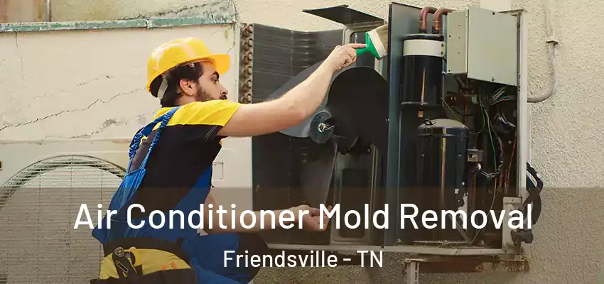  Air Conditioner Mold Removal Friendsville - TN