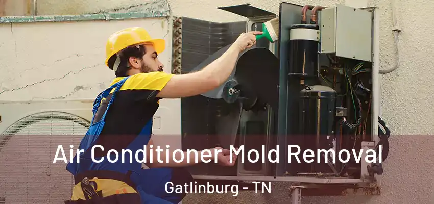  Air Conditioner Mold Removal Gatlinburg - TN