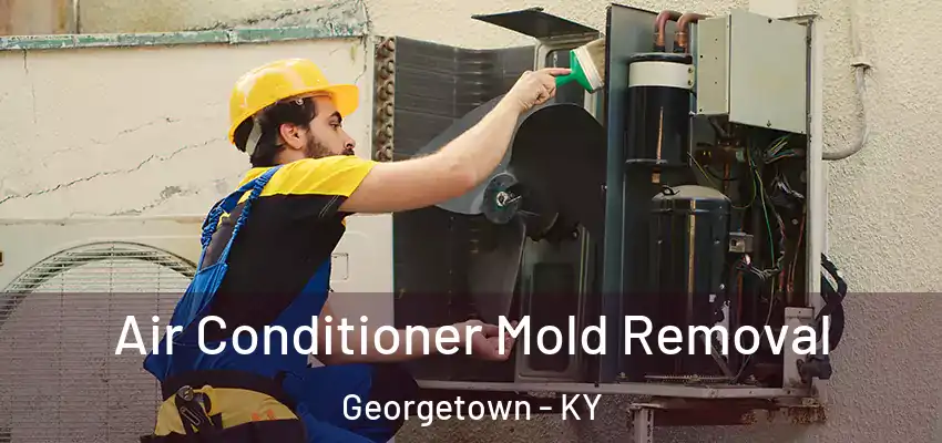 Air Conditioner Mold Removal Georgetown - KY