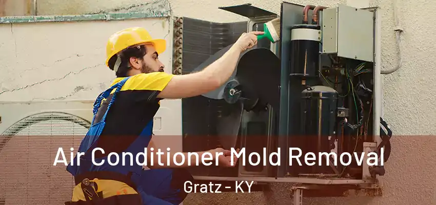  Air Conditioner Mold Removal Gratz - KY