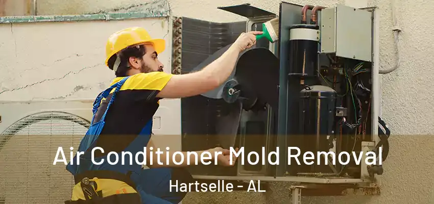  Air Conditioner Mold Removal Hartselle - AL