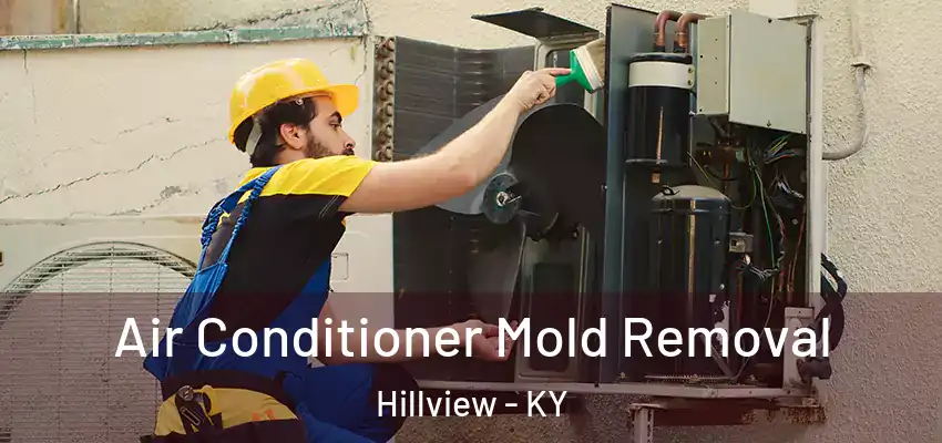 Air Conditioner Mold Removal Hillview - KY