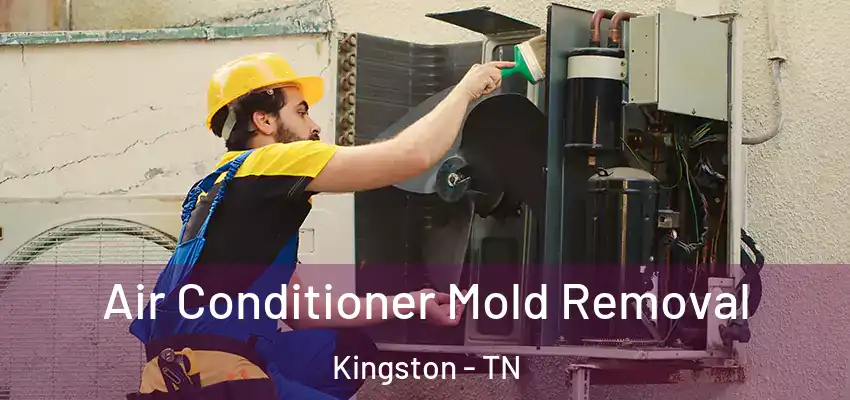  Air Conditioner Mold Removal Kingston - TN