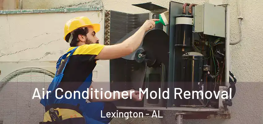  Air Conditioner Mold Removal Lexington - AL