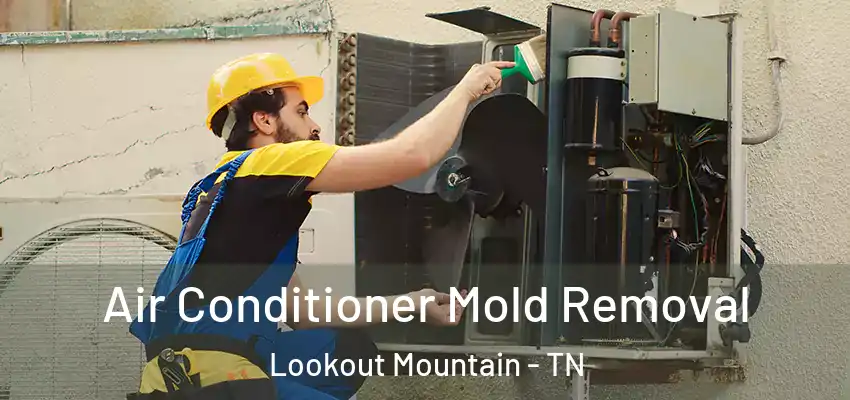  Air Conditioner Mold Removal Lookout Mountain - TN