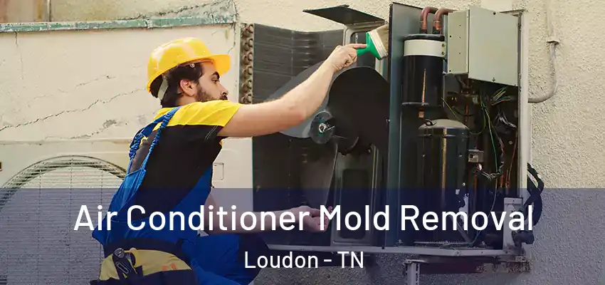  Air Conditioner Mold Removal Loudon - TN