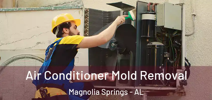  Air Conditioner Mold Removal Magnolia Springs - AL