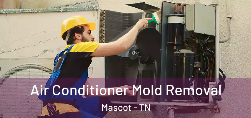  Air Conditioner Mold Removal Mascot - TN