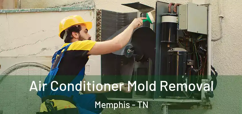  Air Conditioner Mold Removal Memphis - TN
