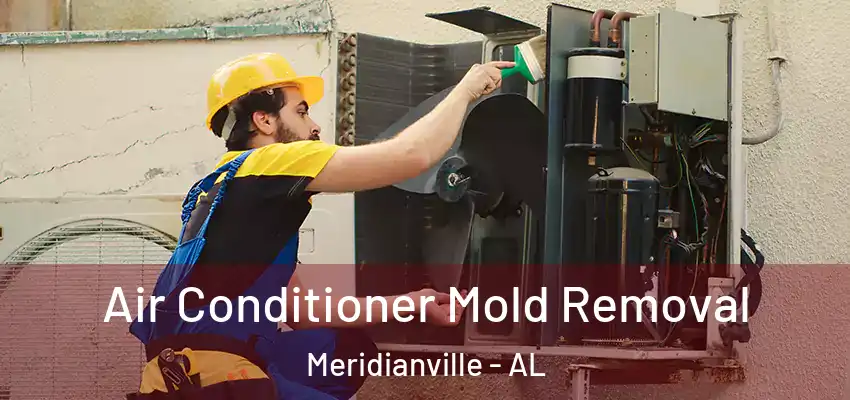 Air Conditioner Mold Removal Meridianville - AL