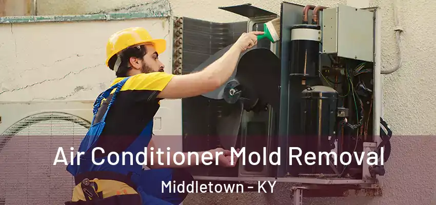 Air Conditioner Mold Removal Middletown - KY