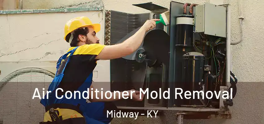 Air Conditioner Mold Removal Midway - KY