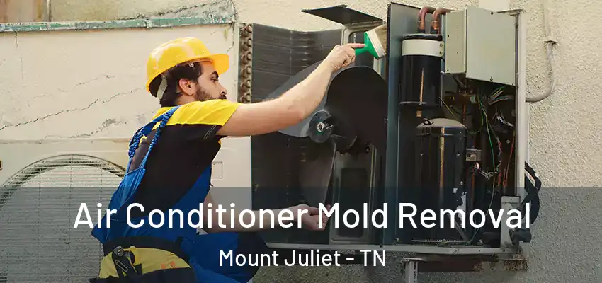  Air Conditioner Mold Removal Mount Juliet - TN