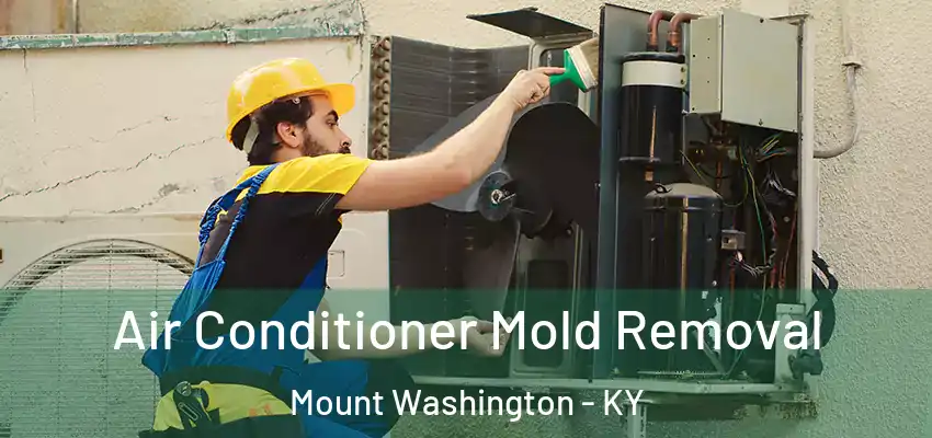  Air Conditioner Mold Removal Mount Washington - KY