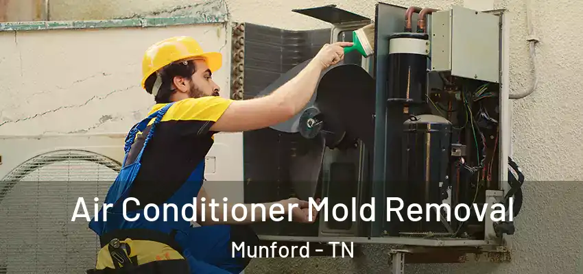  Air Conditioner Mold Removal Munford - TN