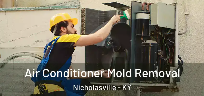  Air Conditioner Mold Removal Nicholasville - KY