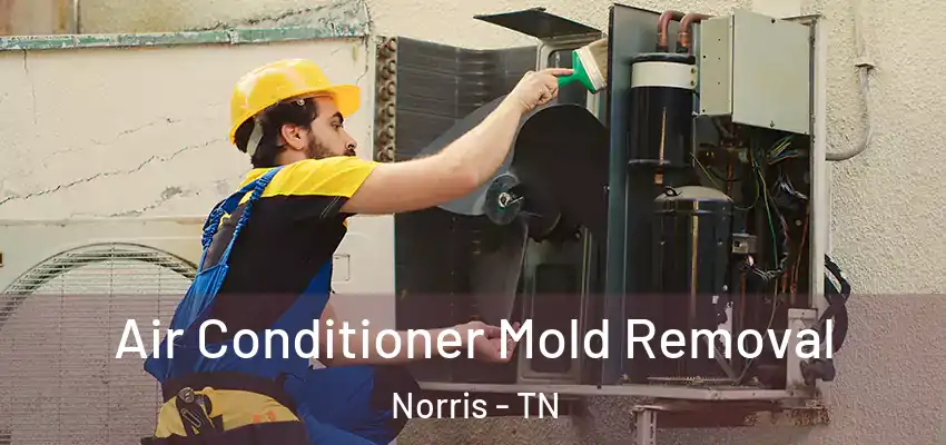  Air Conditioner Mold Removal Norris - TN