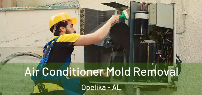  Air Conditioner Mold Removal Opelika - AL
