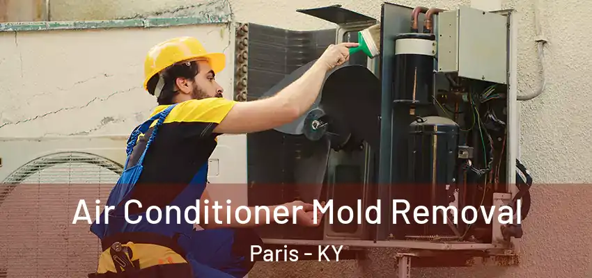 Air Conditioner Mold Removal Paris - KY