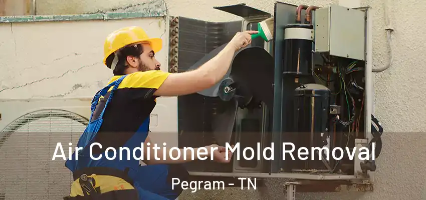  Air Conditioner Mold Removal Pegram - TN