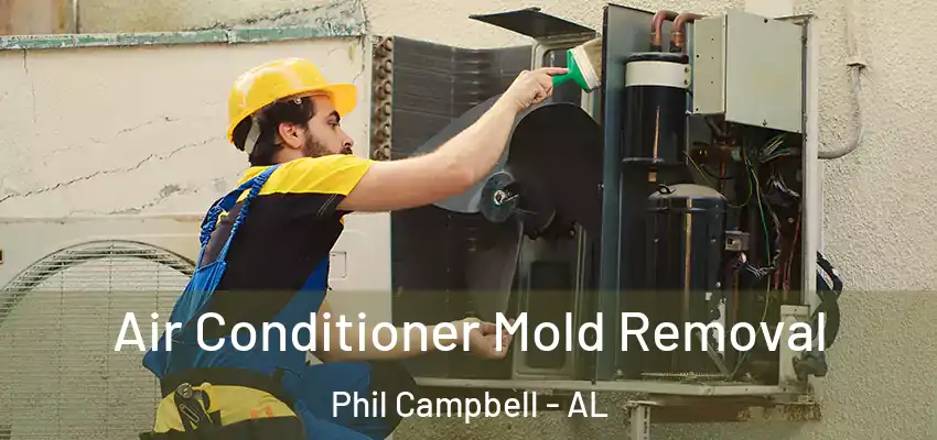 Air Conditioner Mold Removal Phil Campbell - AL