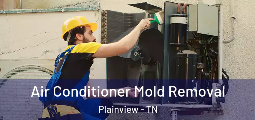 Air Conditioner Mold Removal Plainview - TN