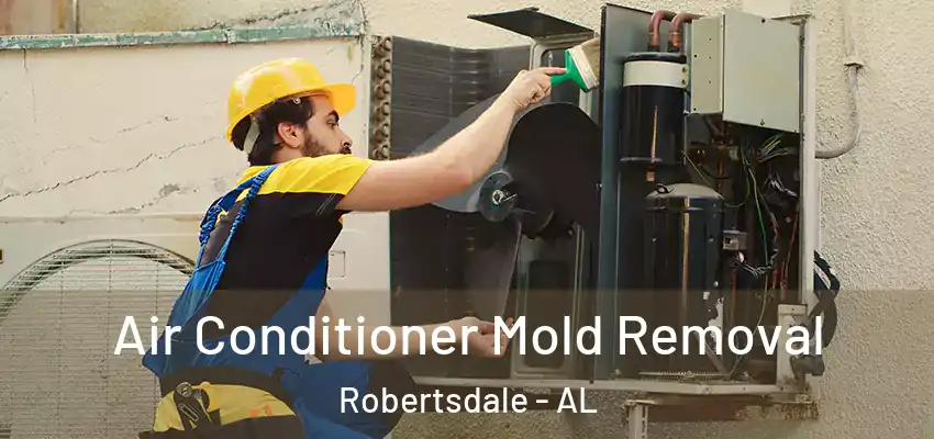  Air Conditioner Mold Removal Robertsdale - AL