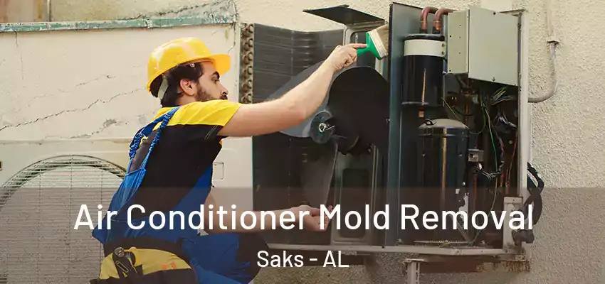  Air Conditioner Mold Removal Saks - AL