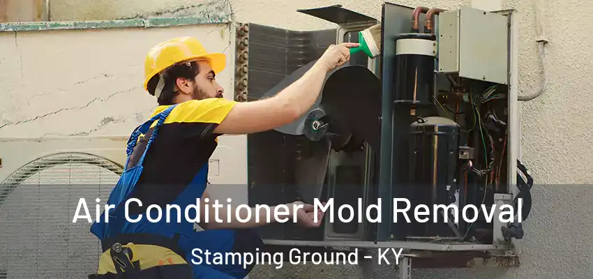  Air Conditioner Mold Removal Stamping Ground - KY