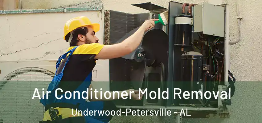 Air Conditioner Mold Removal Underwood-Petersville - AL