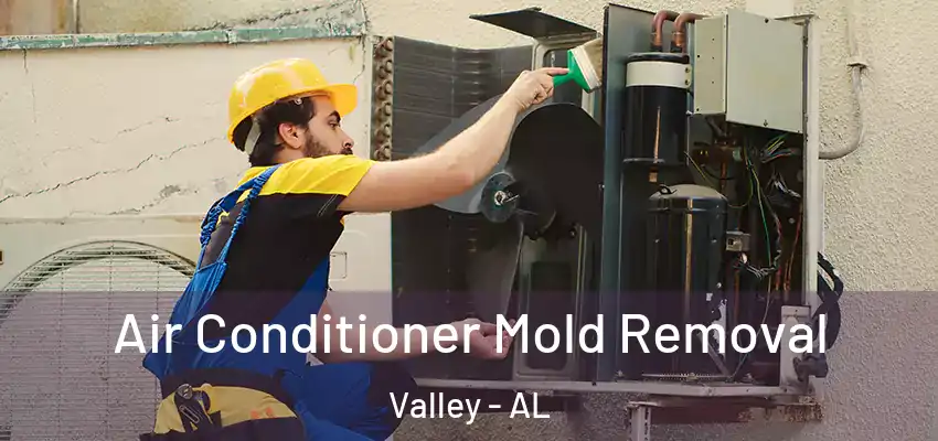 Air Conditioner Mold Removal Valley - AL