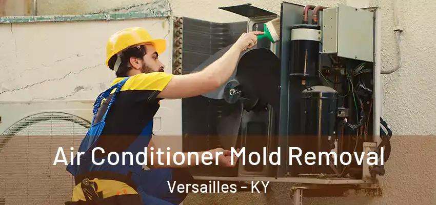 Air Conditioner Mold Removal Versailles - KY