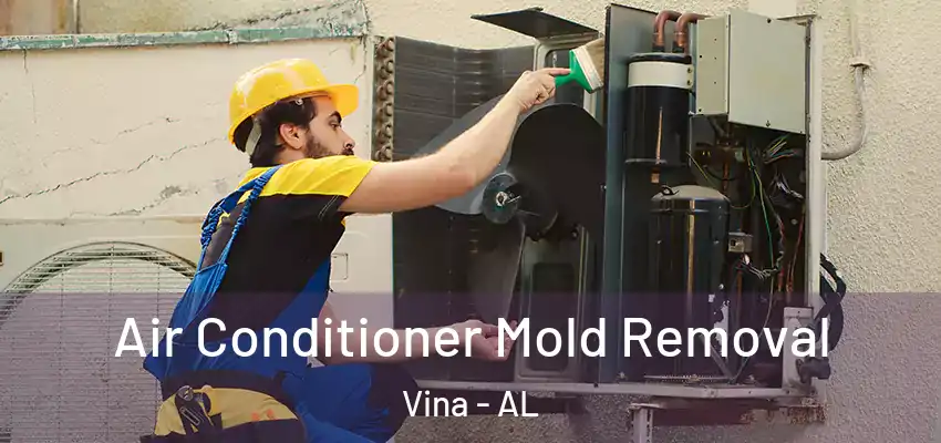  Air Conditioner Mold Removal Vina - AL