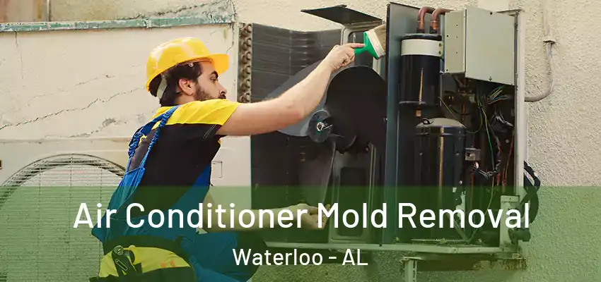  Air Conditioner Mold Removal Waterloo - AL