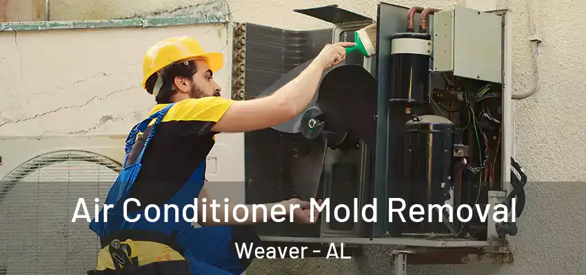 Air Conditioner Mold Removal Weaver - AL
