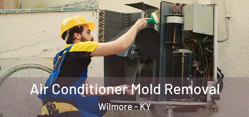  Air Conditioner Mold Removal Wilmore - KY