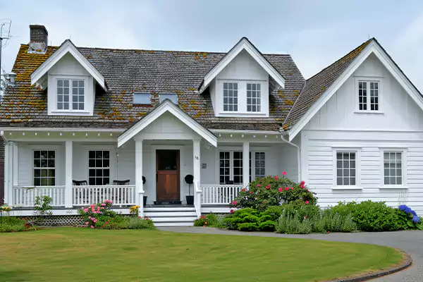 Mold Removal Services in Memphis, TN